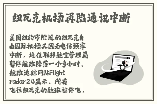 丝瓜草莓榴莲向日葵秋葵